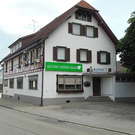 Mini-hôtel Gruener Baum 3*