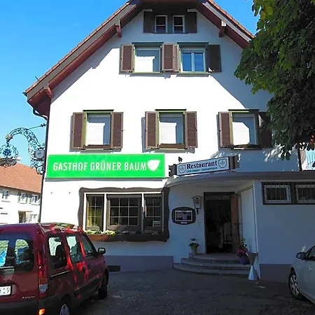Gruener Baum Stetten (Bodensee)