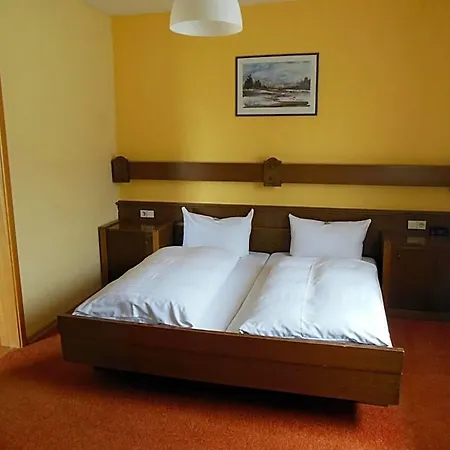 Gruener Baum Inn 3*