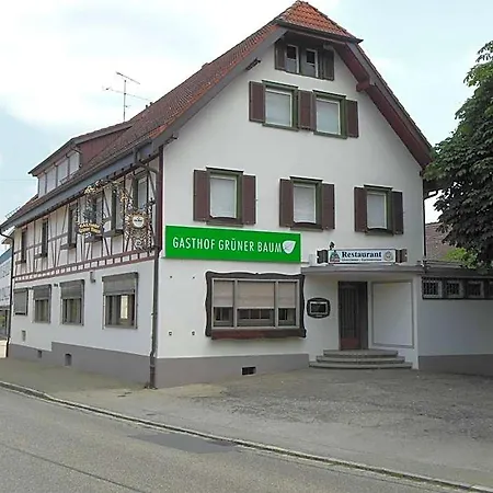 Inn Gruener Baum Stetten (Bodensee)