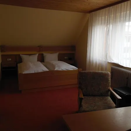 Mini-hôtel Gruener Baum 3*