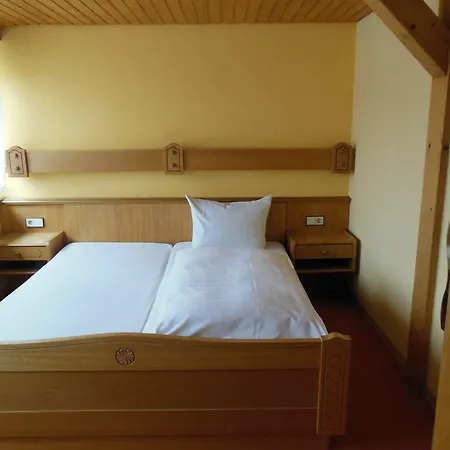 Mini-hôtel Gruener Baum 3*