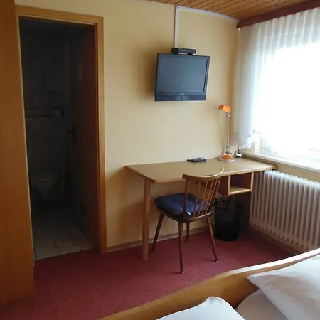 Penzion Gruener Baum 3*