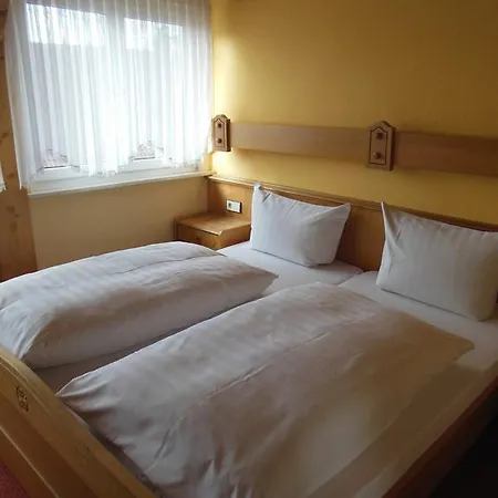 Gruener Baum Penzion 3*