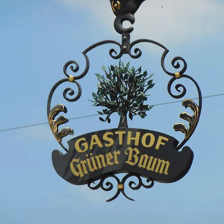 여관 Gruener Baum 스테텐