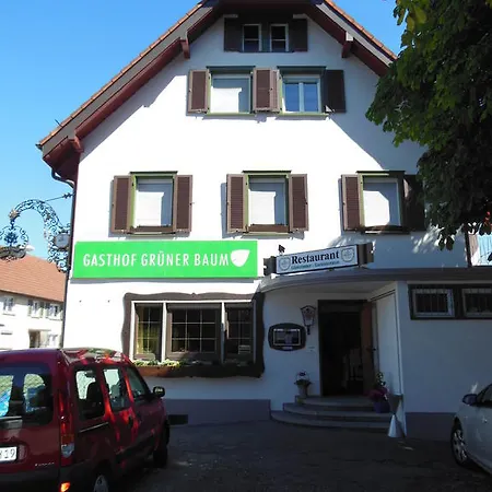 Penzion Gruener Baum Stetten (Bodensee)