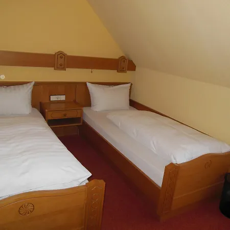 Gruener Baum 여관 3*