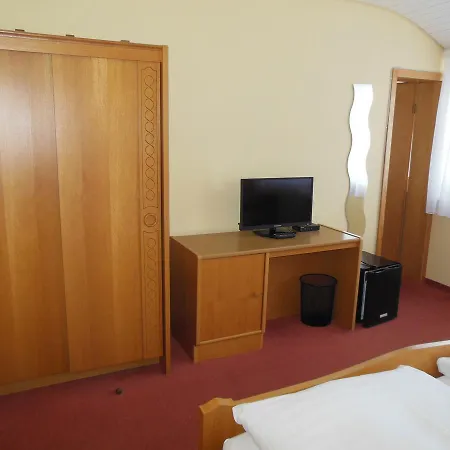 Gruener Baum Mini-hôtel 3*