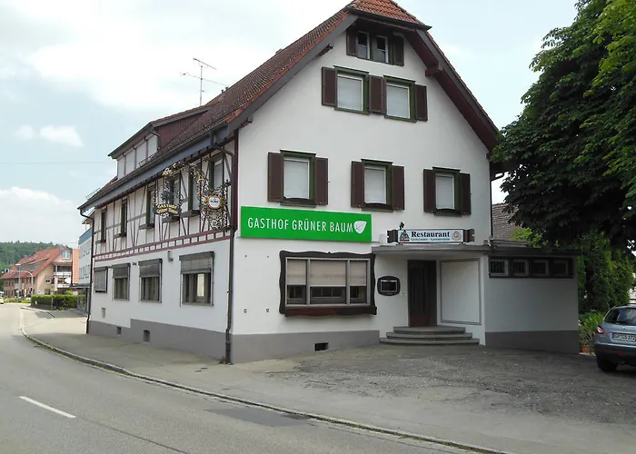 Mini-hôtel Gruener Baum 3*