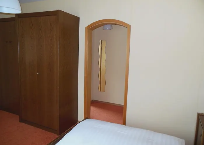 Gruener Baum Mini-hôtel 3*