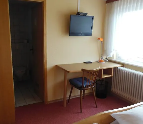 Mini-hôtel Gruener Baum 3*