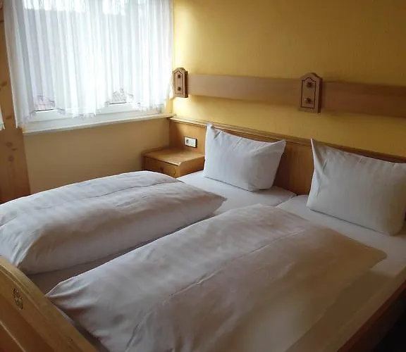 Gruener Baum Mini-hôtel 3*