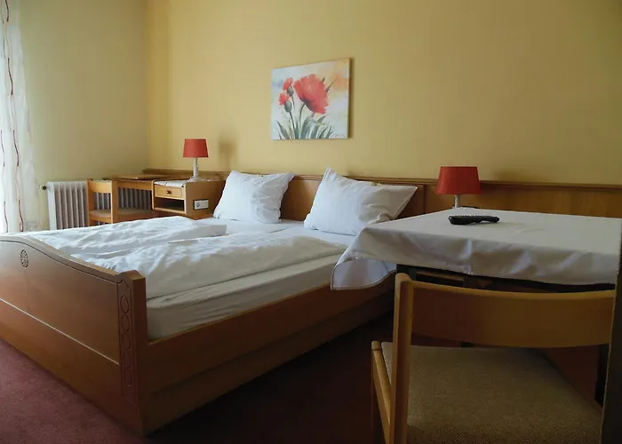 Mini-hôtel Gruener Baum