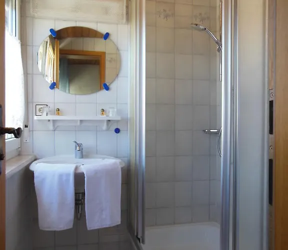 Gruener Baum Stetten (Bodensee)