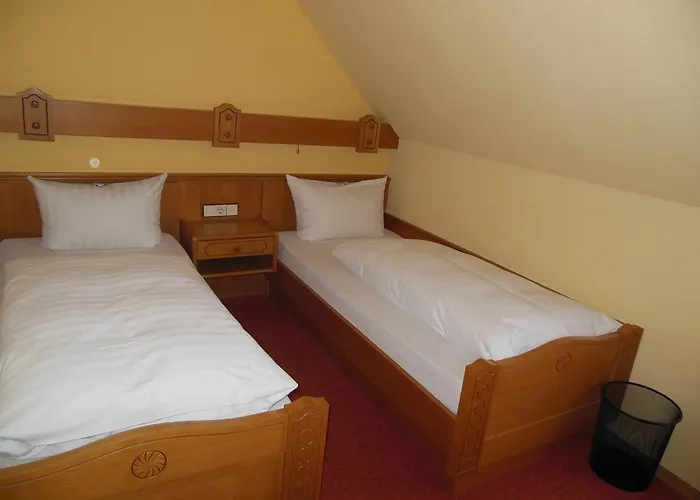 Gruener Baum Mini-hôtel 3*