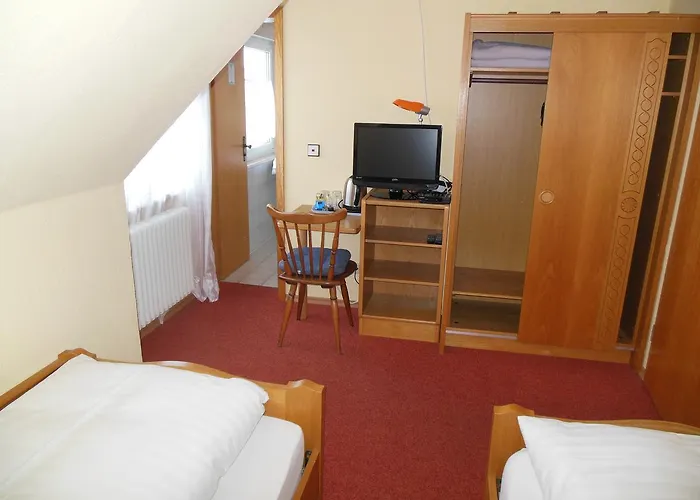 Mini-hôtel Gruener Baum