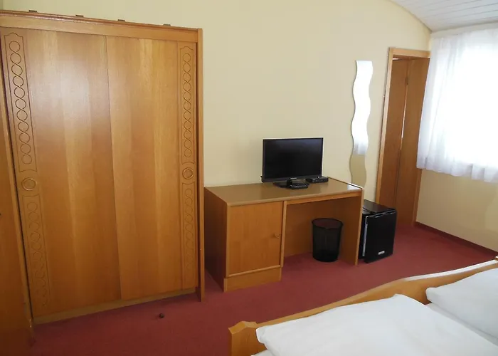 Gruener Baum Mini-hôtel 3*